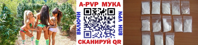 как найти закладки  Кстово  A PVP СК 